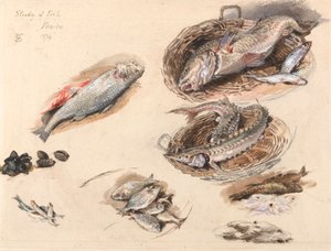 Undersøgelse af fisk, Venedig af Myles Birket Foster