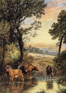 Sommeraften af Myles Birket Foster