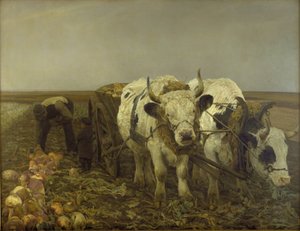 Roeoptagning af N.P. Mols