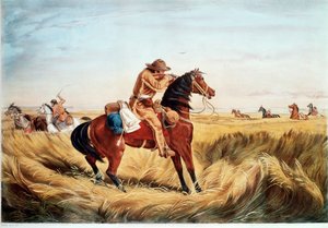  af N. and Ives J.M. (1824-95) Currier