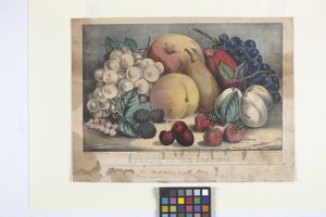 Årstidens frugter (håndkoloreret litografi)