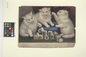 Mine tre hvide killinger (håndfarvet litografi)