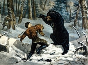 The Life of Trappers (Professional Hunters) i Canada: En jæger bliver angrebet af en Grizzlybjørn. Illustration af Yves og Currier.