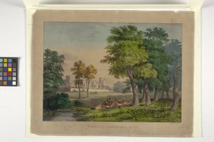 Windsor Castle and Park (håndfarvet litograf)