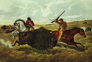 Livet på prærien - bøffeljagten, 1862 (farve litho)