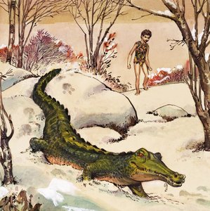 Peter follows the Crocodile, illustration fra 