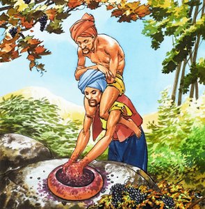 Sindbad Søfareren af Nadir Quinto