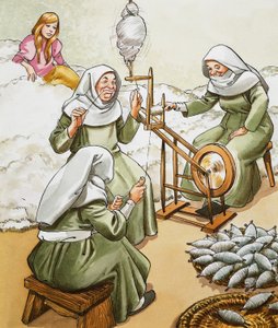 De tre spindere af Nadir Quinto