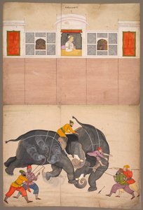 To elefanter, der kæmper i en gårdhave før Muhammad Shah, ca. 1730-40.