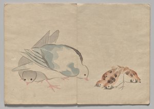 Scene fra The Kōrin Picture Book (bind 1) af Nakamura Hochu
