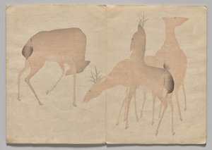 Scene fra The Kōrin Picture Book (bind 1) af Nakamura Hochu