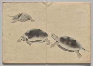 Scene fra The Kōrin Picture Book (bind 2) af Nakamura Hochu