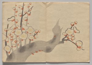 Scene fra The Kōrin Picture Book (bind 2) af Nakamura Hochu