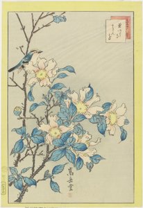 Blå fugl og lyserøde blomster, 1859 (træbloktryk i farver)