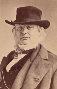 Portræt af Horace Greeley 1811-1872, 1869. af Napoleon Sarony