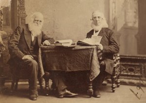 William Cullen Bryant og Peter Cooper af Napoleon Sarony