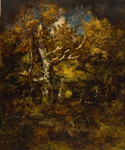 Fontainebleau-skoven, efterår af Narcisse Virgile Diaz de la Peña