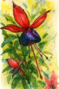 Fuchsia-akvarelblomst af Natalie Bruns