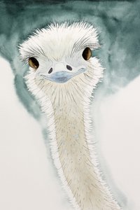 Den muntre struds fra Afrika af Natalie Bruns