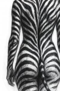 Form med zebrastriber