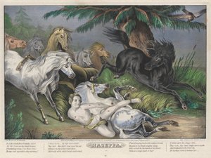 Mazeppa: Plade 3 i sæt med fire (4) tallerkener (omgivet af vilde heste) af Nathaniel Currier