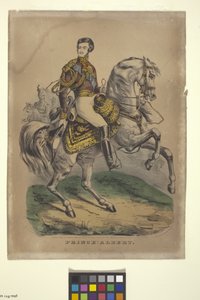 Prins Albert (håndkoloreret litografi) af Nathaniel Currier