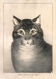 Yndlingskatten, 1838-46., 1838-46.