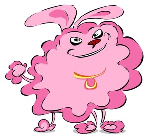 Pompom Puddel - karikatur af Neale Osborne