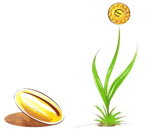 Frø og skyd - illustration af finansiel allegori af Neale Osborne