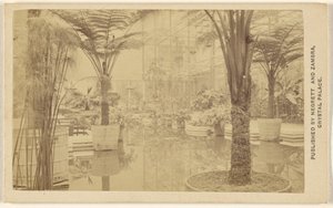 Trofæer [plantevækster, interiør i Crystal Palace]. af Negretti and Zambra