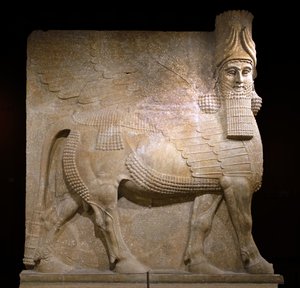 Bevinget tyr fra hof VIII ved kong Sargon II