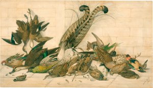 uden titel (australske gamebirds) af Neville Henry Cayley