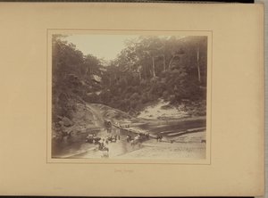 Øvre Nepean af New South Wales Government Printing Office