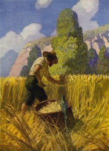 Illustration til Robinson Crusoe (farve litho) af Newell Convers (after) Wyeth