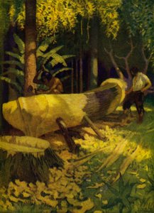 Illustration til Robinson Crusoe (farve litho) af Newell Convers (after) Wyeth
