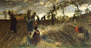 Såning i Toscana