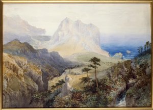 En kløft nær havet, de sydlige alper, New Zealand