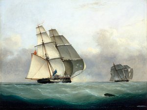 HMS 