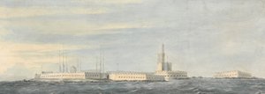 Muldvarpehoved, Algier af Nicholas Pocock