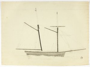 Hvaler af Nicholas Pocock
