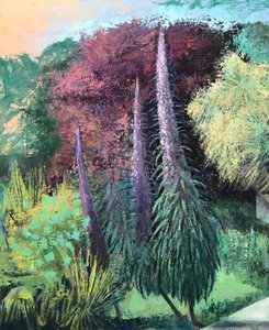 Three Echiums, 2022-23 (olie på plade) af Nick Williams