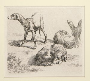 2 raderinger fra The Set of Various Animals, med manden under træerne, den såkaldte Mand af Nicolaes Berchem