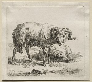 Animalia: Vædder og får af Nicolaes Berchem