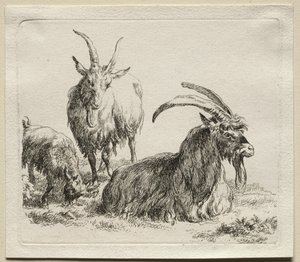 Animalia: Tre geder af Nicolaes Berchem