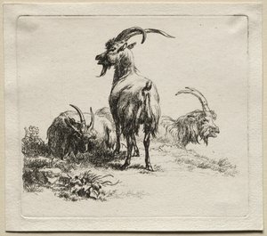 Animalia: Tre geder af Nicolaes Berchem
