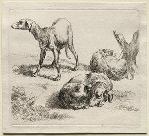 Animalia: Tre jagthunde