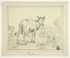 Ged af Nicolaes Berchem
