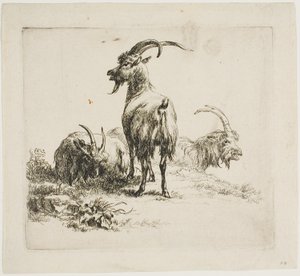 Geder, fra forskellige dyr af Nicolaes Berchem