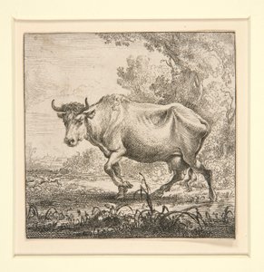 Sæt af køer, med mælkepigen af Nicolaes Berchem