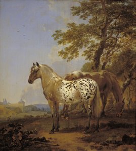 To heste i et landskab af Nicolaes Berchem